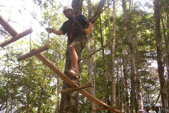 Canopy Malacahuello