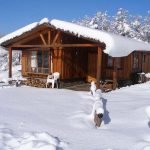 HOSTAL Y CABAÑAS EL COIGÜE